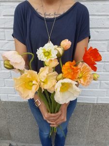Poppies Floral Arrangement