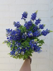 BLUEBONNETS Floral Arrangements