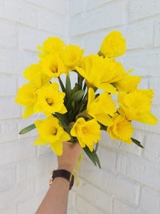 Daffodils Floral Arrangement